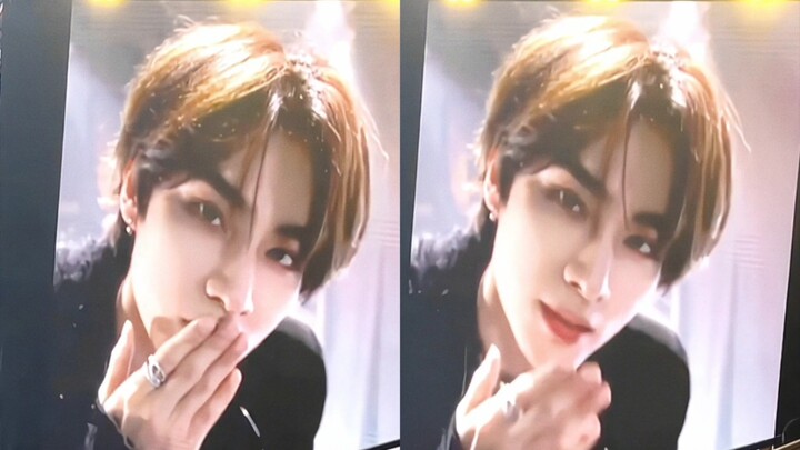 فراشات في المعدة 🦋【شياو جون】