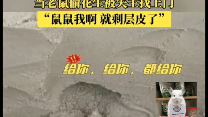 Mouse: All for nothing.