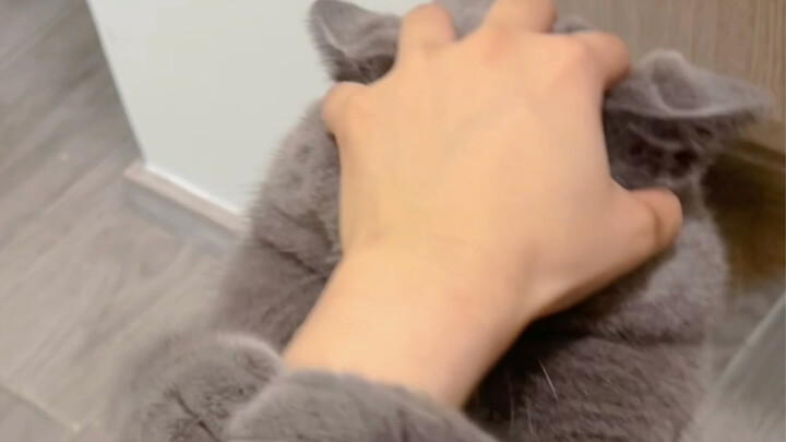 Bloodline suppression—don’t you even know your own place?