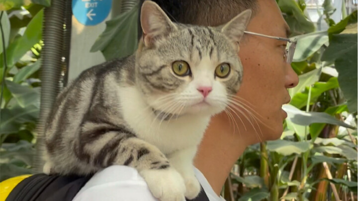 The tattooed big guy has fallen for that 500-pound giant pumpkin. What should I do?