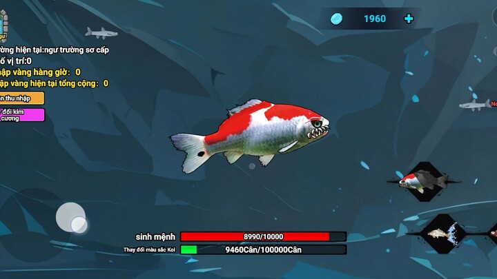 cái này chơi thế nào đây