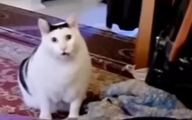 إقرأها مرة واحدة يوميًا وداعًا للقلق!
