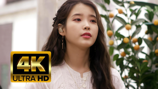 Live|IU "eight"