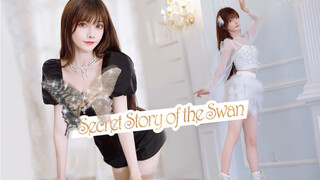 【宵鱼】幻想童话❤Secret Story of the Swan  喜欢黑天鹅还是白天鹅？