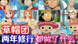 [One Piece]What did the Straw Hats do during their two years of training?