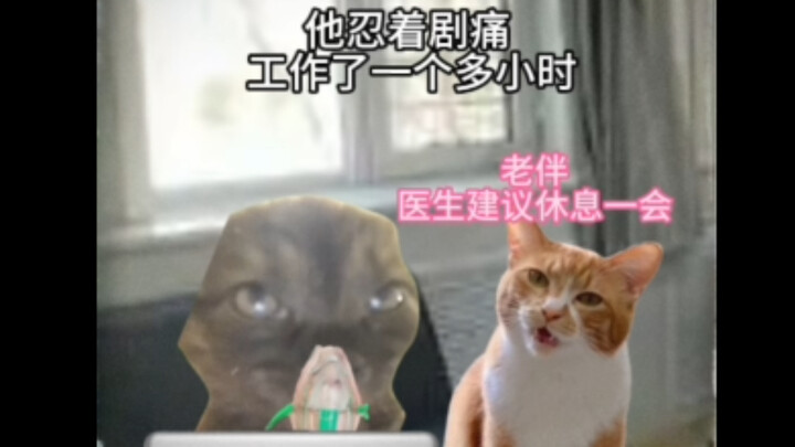 Học giả Lâm Tuấn Đức đã cống hiến cả cuộc đời mình cho Tổ quốc, thậm chí đến giây phút cuối cùng vẫn