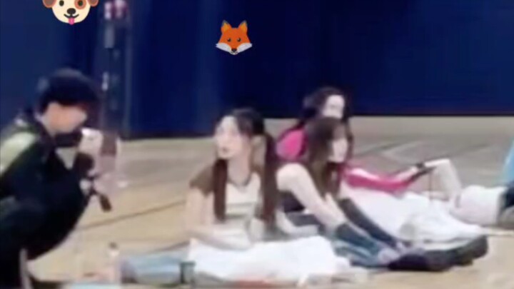 【سكر】S13 تفاعل حلو للغاية