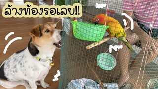 โลกของแสนดี ตอน เป็นเพื่อนกันกินกันได้ไหม??