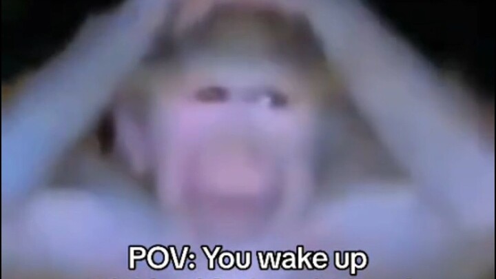 When you suddenly wake up thinking it’s still the middle of the night, only to realize your alarm wi