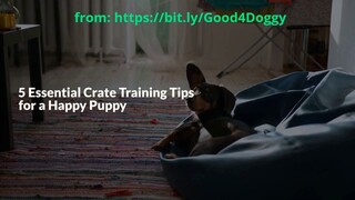 5 Essential Crate Training Tips for Your New Puppy