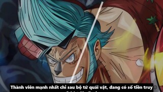 Tiền Truy Nã Của Luffy_ - Dự Đoán Số Tiền Truy Nã Băng Mũ Rơm Sau Arc Wano p4