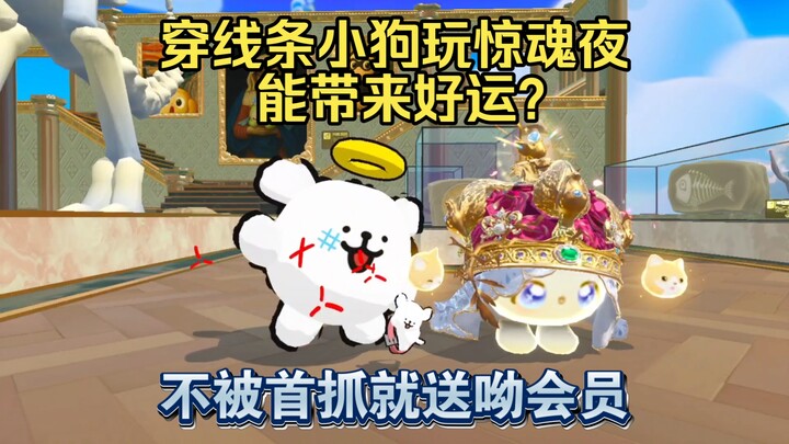 Dandan Party: Does Wearing the Striped Puppy Outfit Bring You Luck on Scary Night? Get a Free Member