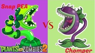 Plants vs. Zombies 2 Hoa Ăn Thịt Chomper 200 LVL Max Mạnh Như Nào Hoa Quả Nổi Giận
