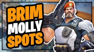 BRIMSTONE POST PLANT MOLLY SPOTS (All Maps)