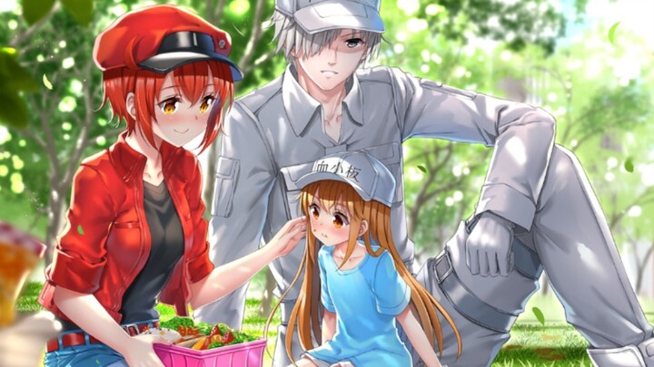 【工作细胞】原版和央配对比