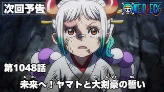 ワンピース 1048話 - One Piece Episode 1048 English Subbed | Sub español | ~ LIVE ~