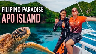 Solo Travel to APO ISLAND Philippines - this Turtle Paradise left me SPEECHLESS!