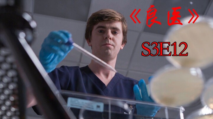 ورم معدٍ: شون الذي يربي الأسماك في البحر