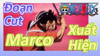 [Đảo Hải Tặc] Đoạn Cut | Marco Xuất Hiện