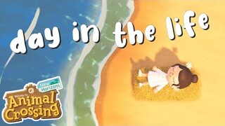 Day in the Life of Animal Crossing New Horizons