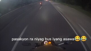 dokdok wars