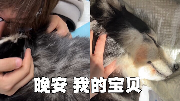 My dearest baby has been chosen by heaven to become an angel puppy. Goodbye, my beloved baby.