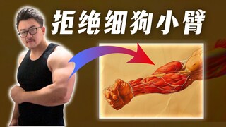 [Most Detailed] How to Thicken Your Forearms in One Go | Including Training Plan | Analysis from a K