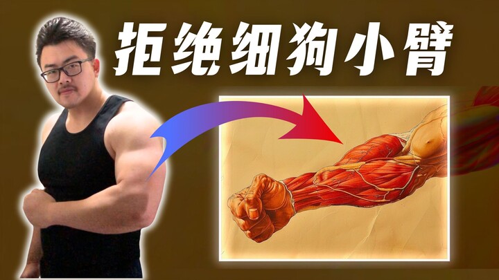 【全网最详细】一口气讲完如何增粗小臂｜含训练计划｜运动学博士的解析