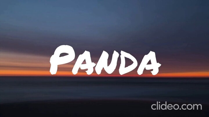 Panda - Flow G ft. Skusta Clee (slowed to imperfection) (Lyrics)