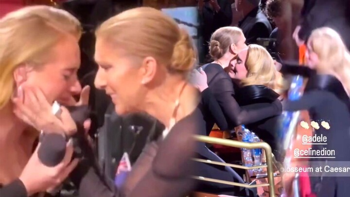 When Adele was singing at her concert, she suddenly found out that diva Celine Dion was sitting righ