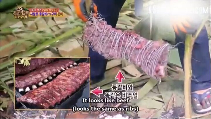 E182 Law of The Jungle_nicaragua