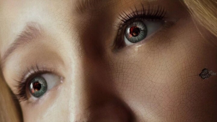 《母亲！》 Mother! (2017)