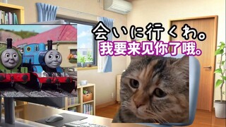 【熟肉】给托马斯小火车应援的日常 | 猫meme