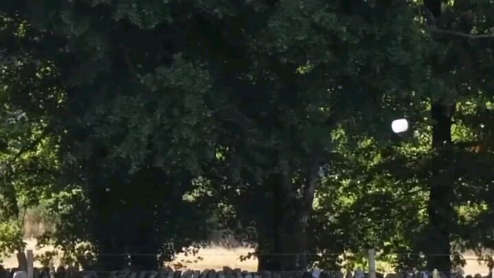 free