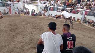 second fight