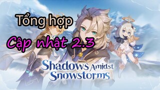 Tổng Hợp Chi Tiết Cập Nhật 2.3 SHADOWS AMIDST SNOWSTORMS Cùng Banner Nhân Vật Mới!