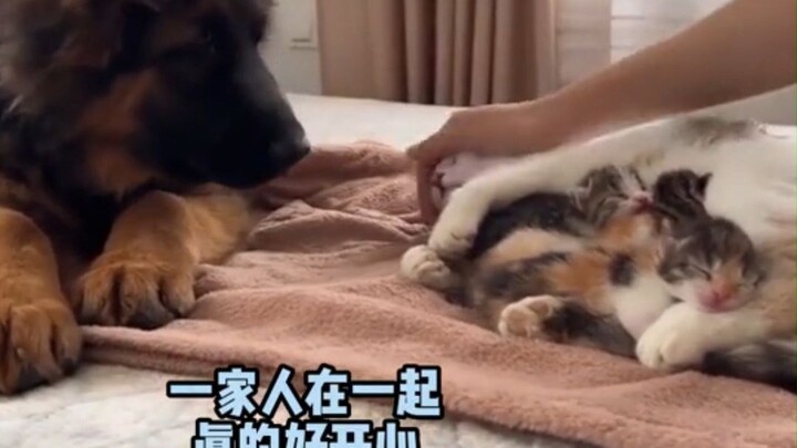 Dia dengan hati-hati membawa mainan untuk menemui bayinya.