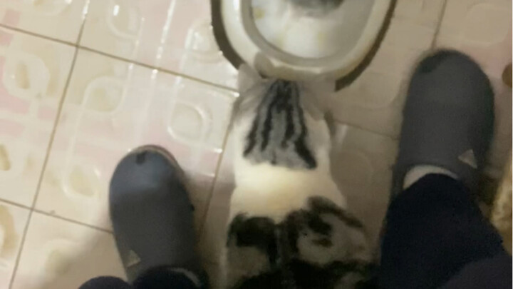 Video thật sự không thể truyền tải nổi tôi đã bối rối đến mức nào trong mười mấy giây đầu.