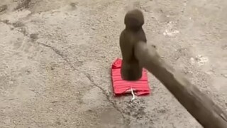 不抽火哪来的烟？