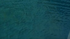 How Dan Technologies is Transforming Pool and Fountain Construction