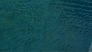 How Dan Technologies is Transforming Pool and Fountain Construction