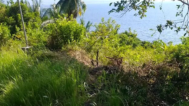 come to the heart ep 1