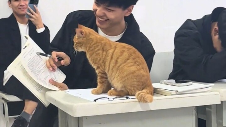 What are the cool senior cats in college up to?