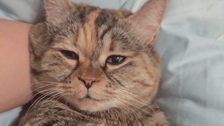 Just Woke Up, Clang!