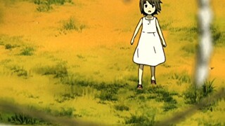 into the forest of fireflies light