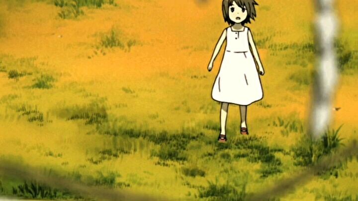 into the forest of fireflies light