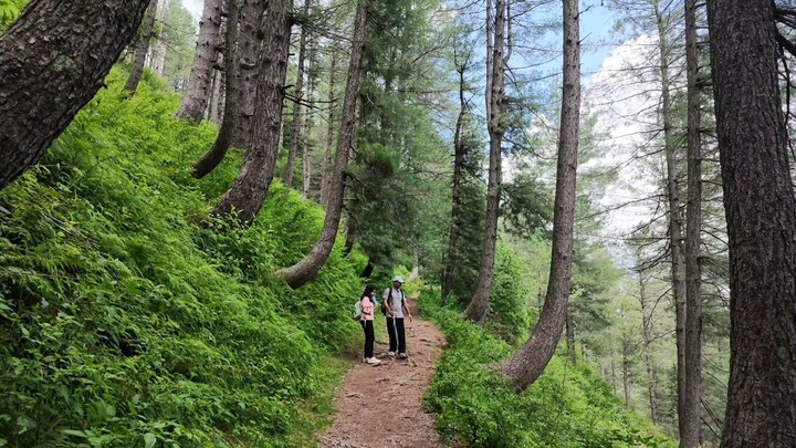 Walk Into Nature , Guess The Place? #nature #trvel #pakistan #china