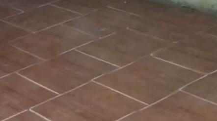 “Scared into Revealing Their True Form”