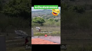 จะบินเล่นซะหน่อย
