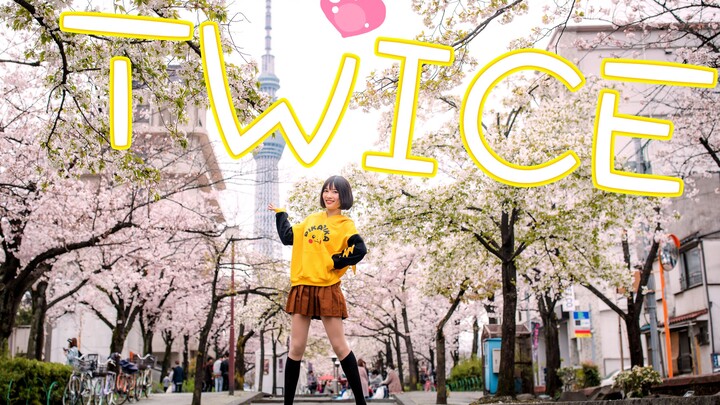 [Tuzi Lin] TWICE’s two-song mashup dance under the cherry-blossom-filled晴空塔 ❤